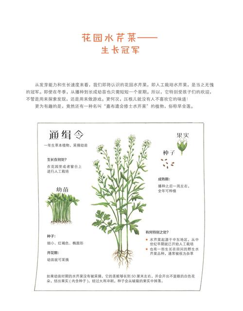 大自然物语小技巧分享介绍_大自然物语小技巧分享是什么