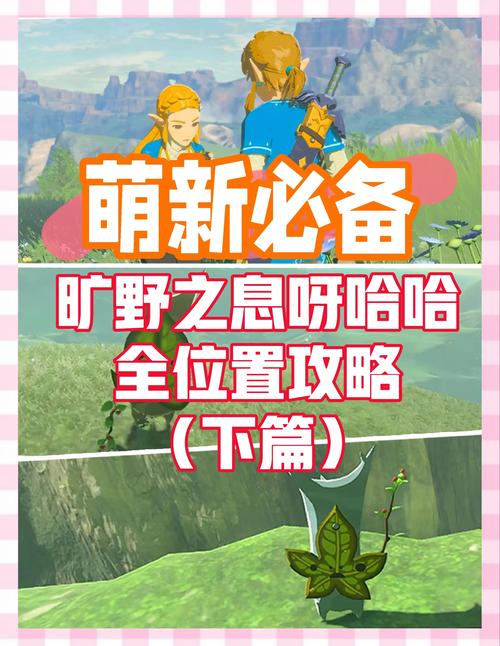 《塞尔达传说:荒野之息》付费洗点方法介绍介绍_《塞尔达传说:荒野之...