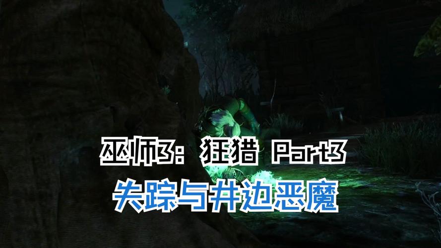 巫师三废弃的村庄水井怎么上去