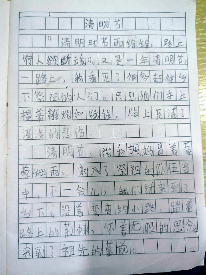 有没有关于清明节扫墓的作文~