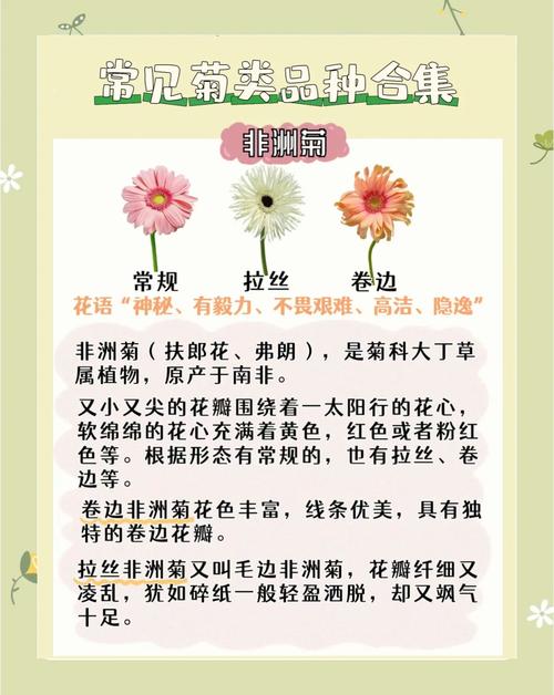 莫让“菊花”变“葵花”介绍_莫让“菊花”变“葵花”是什么