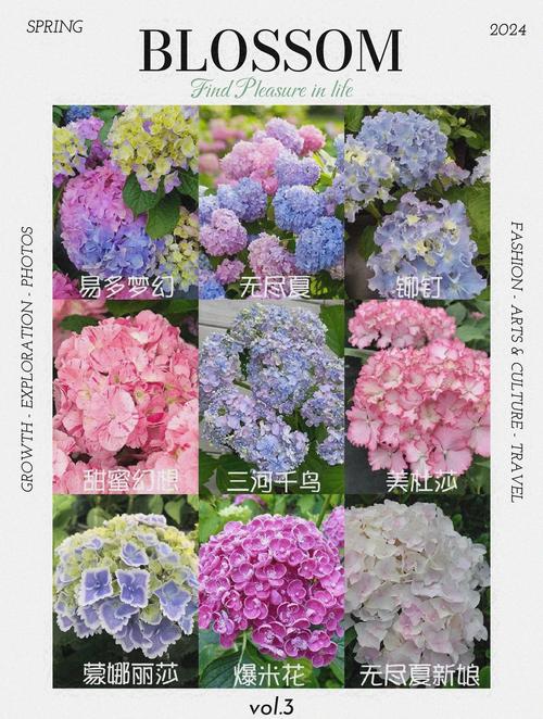 洛克王国绣球花有什么用-洛克王国绣球花作用介绍