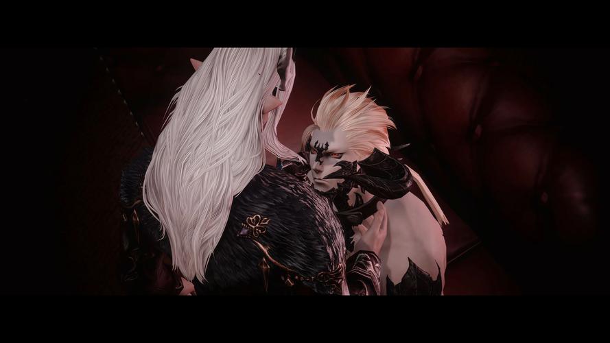 ff14lb什么意思