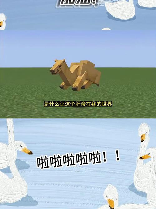 我的世界的天堂有什么