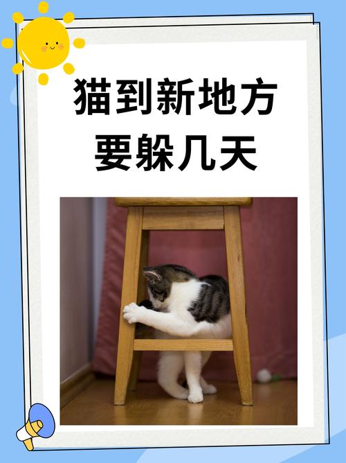 QQ空间尖叫吧喵星人在哪?