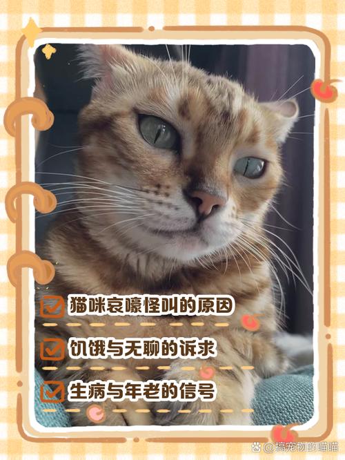 猫咪突然很大声的尖叫,然后躲起来了是为什么啊?
