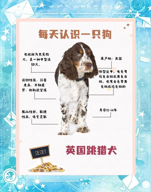 如何给跳跳妹妹的宠物狗取一个好听的名字