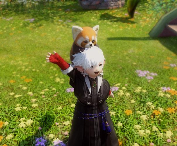 ff14小熊猫怎么坐头上
