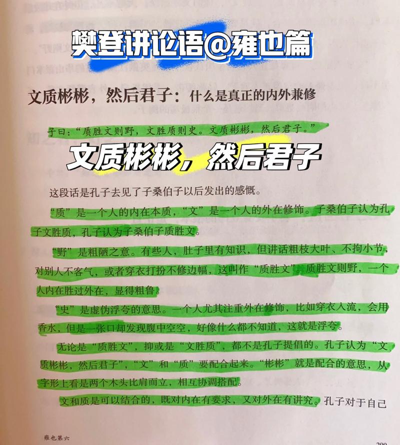 文质彬彬,然后君子什么意思