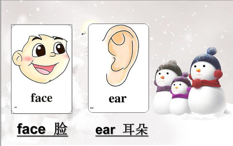 face介绍_face是什么