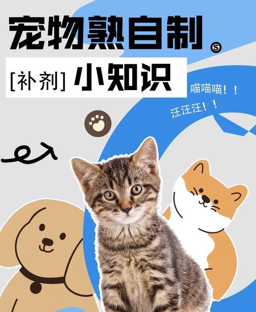 合成宠物还需要什么才能补满?