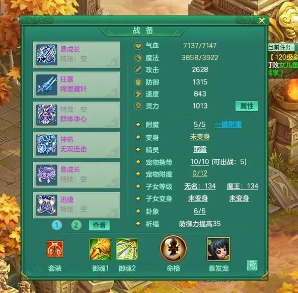 神武龙女怎么加点
