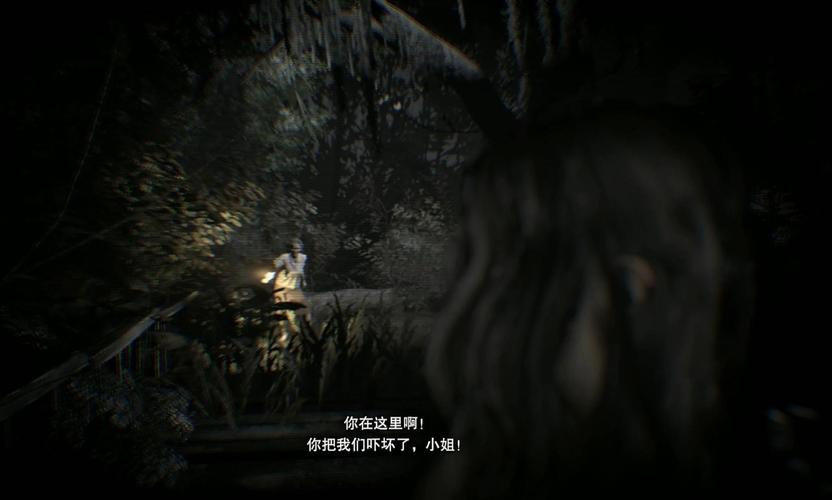 生化危机7船上行李在哪里