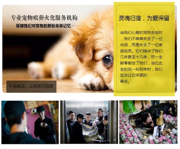 全民英雄宠物怎么获得？全民英雄什么？