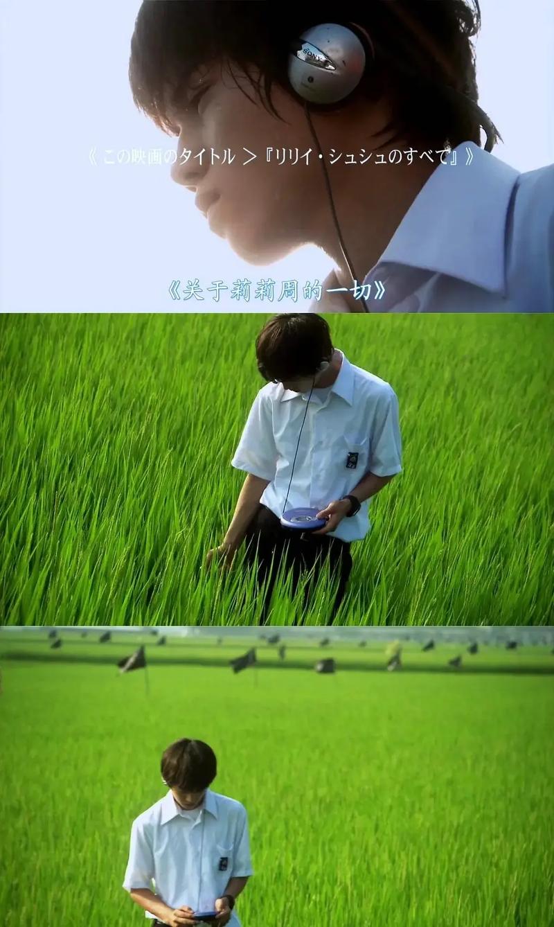 关于莉莉周的一切苍井优