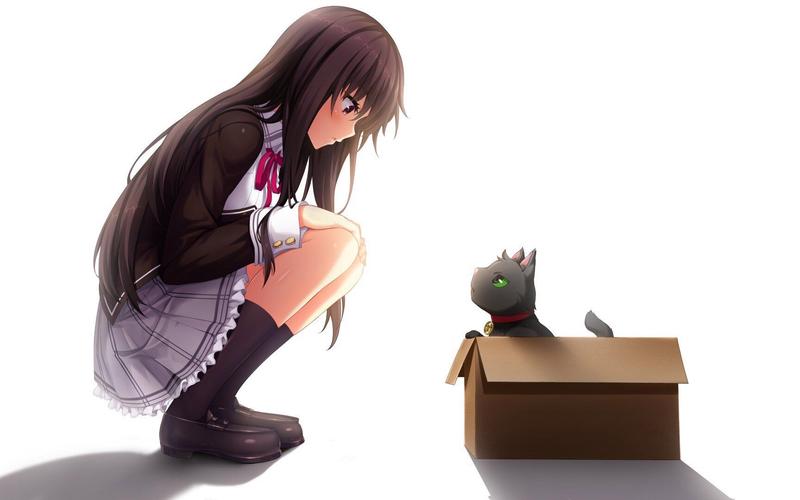 日本后宫动漫《野良和皇女和流浪猫之心》讲了一个什么故事?