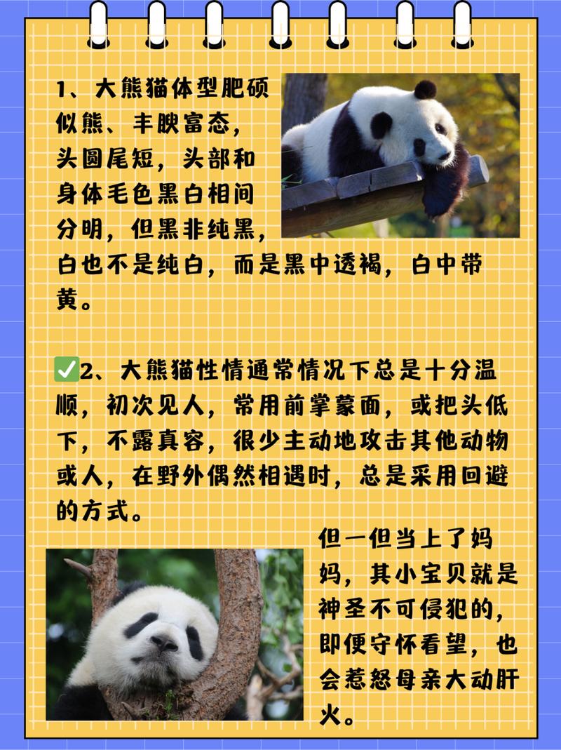 熊猫的特点是什么?