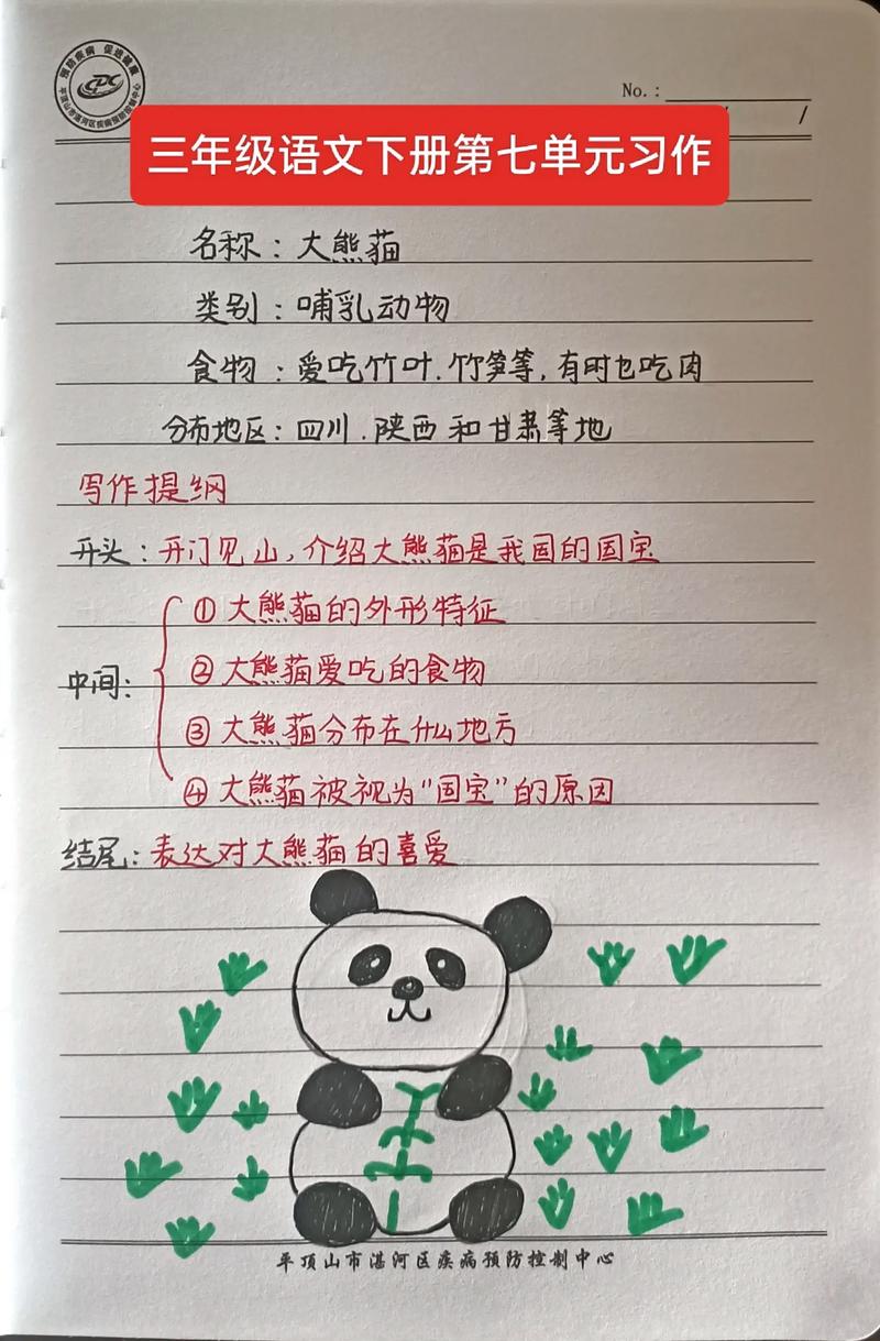 国宝大熊猫的资料和特点