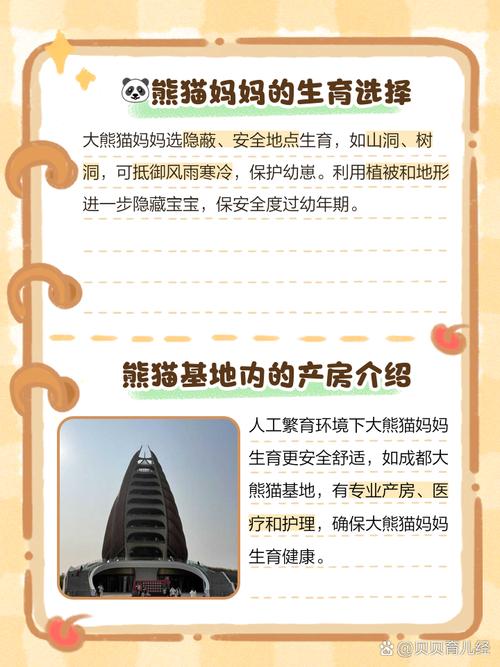 在野外生活的大熊猫妈妈一般选择在哪里生
