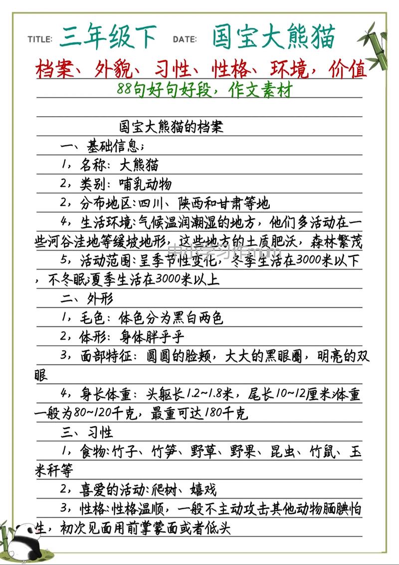 大熊猫性格怎么样
