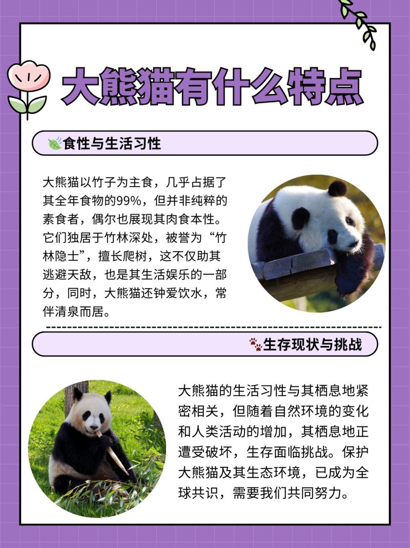 大熊猫性格特征是什么
