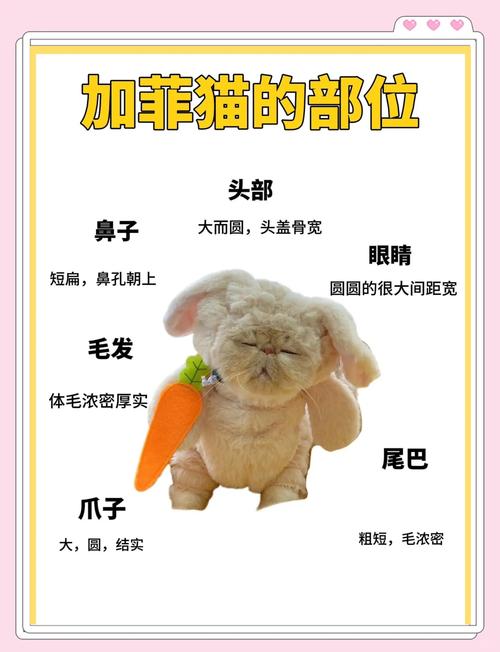 加菲猫防御战功能特点