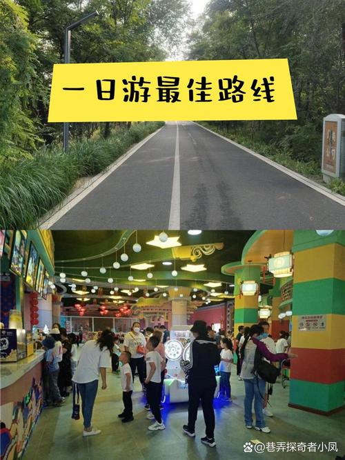 天天德州关了去哪玩
