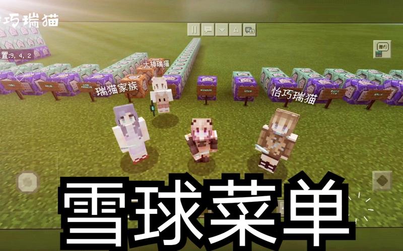 我的世界里的雪球怎么用?