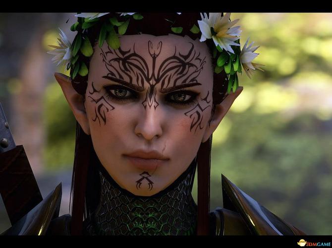 龙腾世纪洗点MOD使用指南