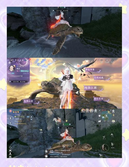乌龟坐骑哪里钓到的几率高