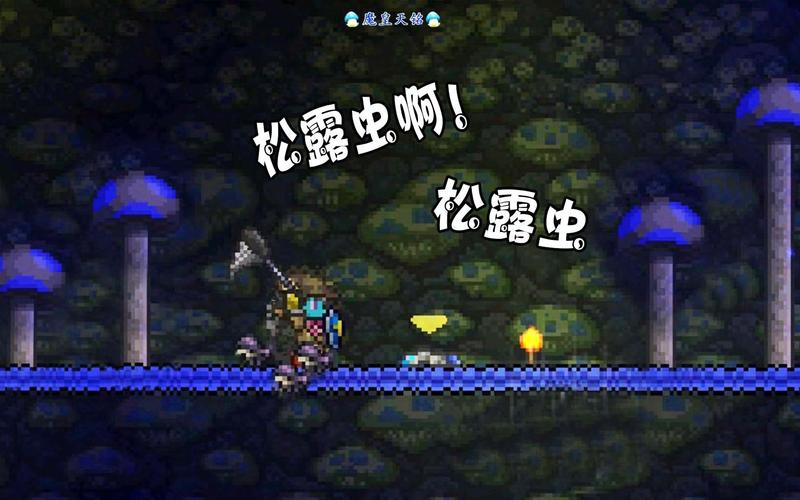 泰拉瑞亚松露虫怎么抓-松露虫抓捕方法