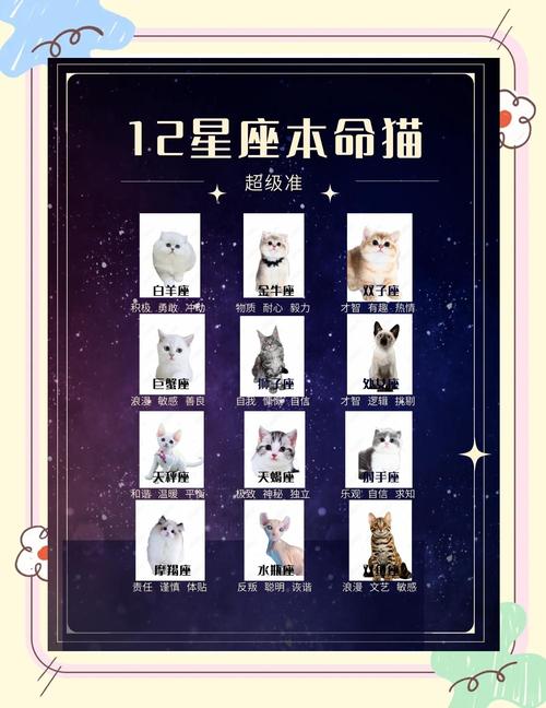 什么时间容易抽到星星的猫