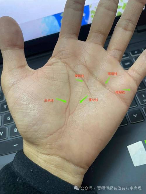 双手的生命线在中间都断开了,这代表着什么?