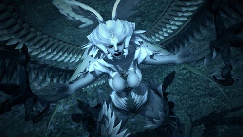 ff14迦楼罗歼灭战怎么开启