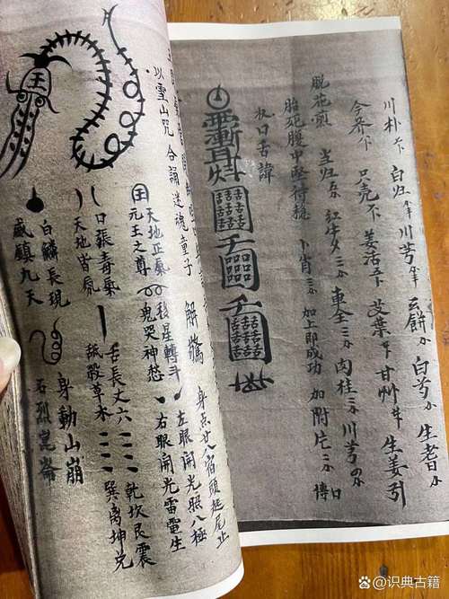 仁王通占符有什么用介绍_仁王通占符有什么用是什么