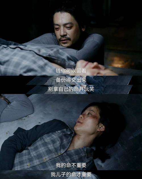 乌云之上每天播放多少集