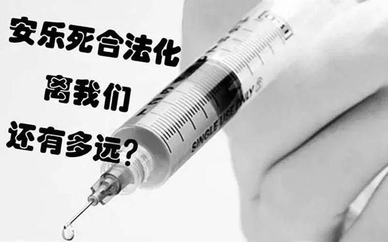 安乐死为什么那么贵