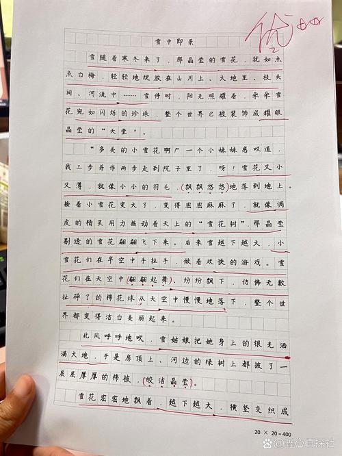 五年级优秀作文