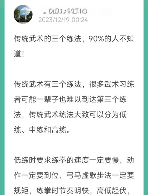 如何成为武术高手