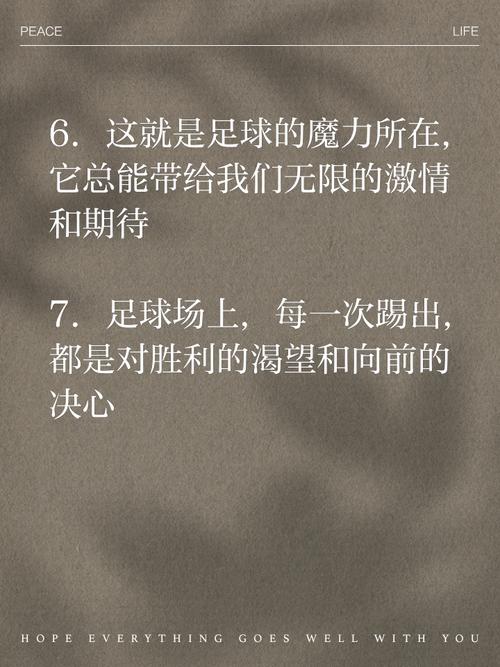 球迷造句