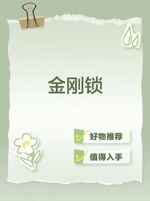 加密金刚锁是什么意思啊