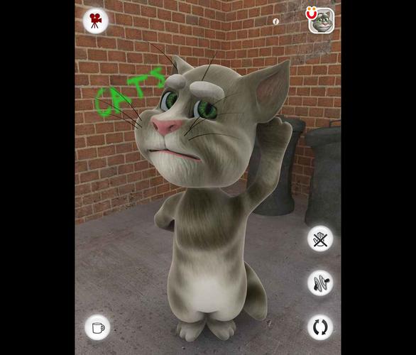 会说话的3D猫完美版汤姆猫四周按键作用