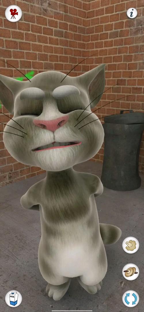 会说话的TOM猫怎么玩