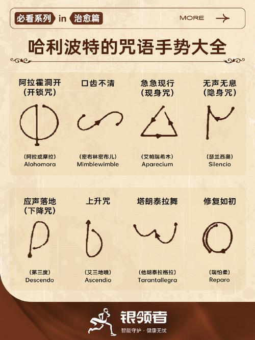 哈利波特能夺取对手魔杖的咒语是什么