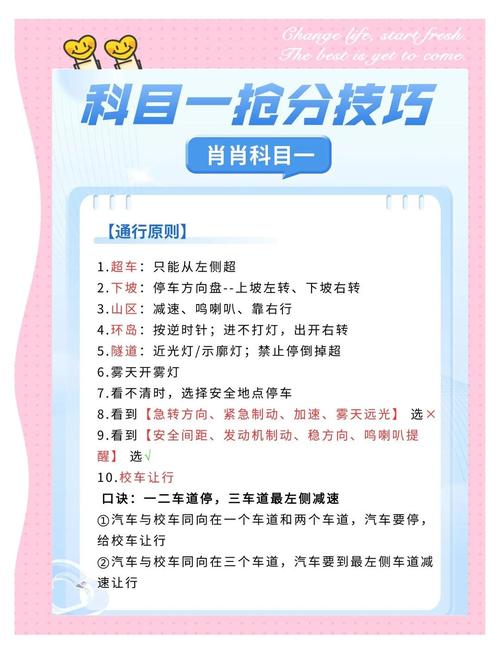 暑假考科一不刷不背十分钟满分通关