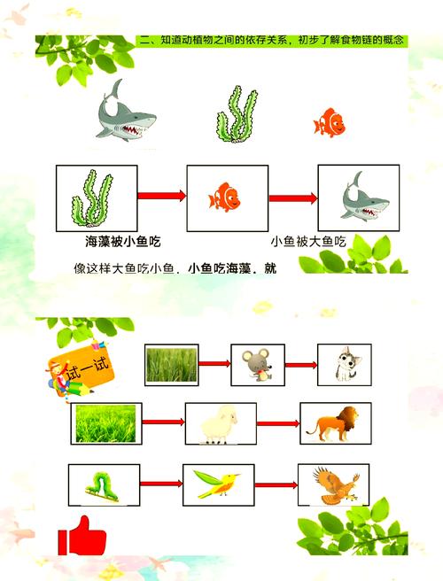 大鱼吃小鱼怎么开红包方法，请问大鱼吃小鱼