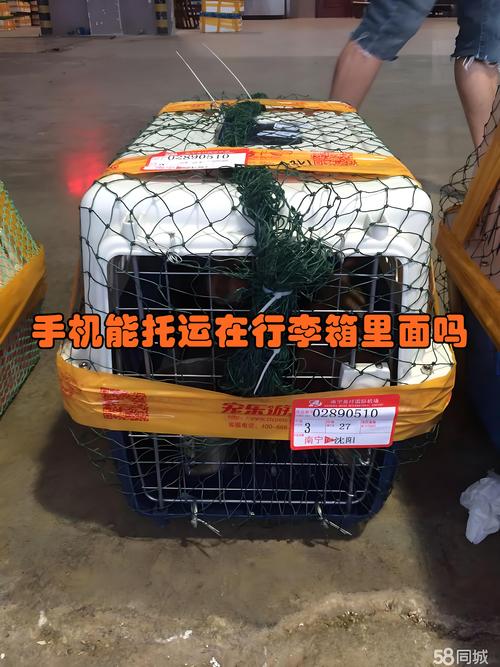 ...托运的行李箱里了,有带着电池,值机手续已经办好,还能去拿出来...
