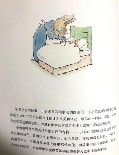 彼得兔的读书心得