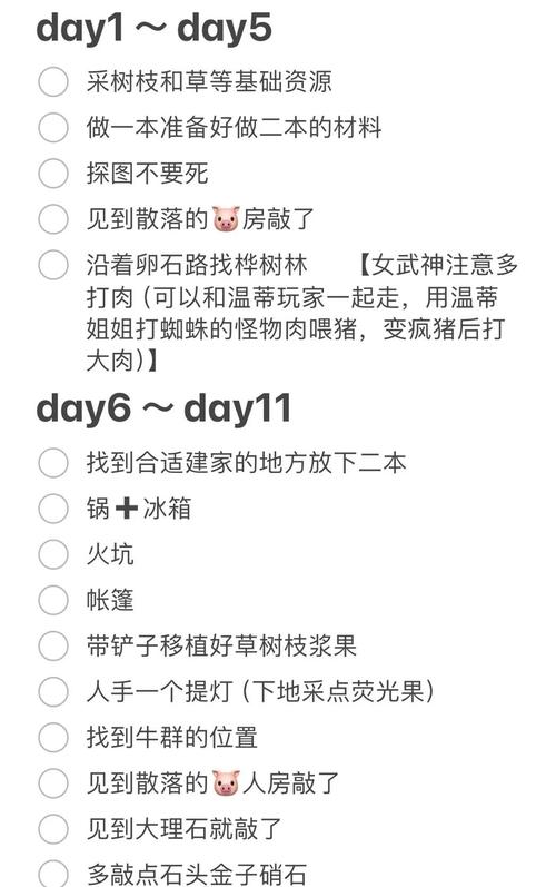 如何玩好饥荒?