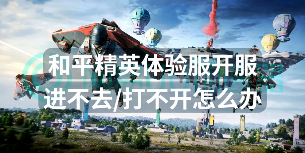 怎么体验服进不去啊?这是怎么回事?